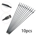 10pcs Fiberglass Arrows Archery 30 Inch Target Shooting Practice Safetyglass