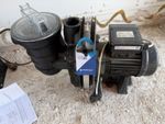 Pentair Standard Pool Pump 0.55kW 0.75HP 230V 4.2A Thermally Protected