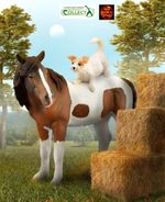 Mare with Terrier Horse and Dog Toy Model Figure by CollectA 88891 New