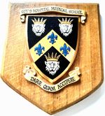 Guy's Hospital Medical School Plaque Beautifully Hand Restored