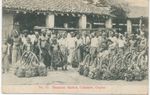 CEYLON / GB rare PC BANANA MARKET COLOMBO 1906 LONDON CDS 22mm HORNSEY / N.