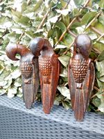 RARE TRIO ANGLO INDIAN  WALL PARROTS HAT/COAT HAND CARVED WOOD FIRST PART 20TH C