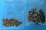 50 x Meccano Part 37 Brass Cheesehead Bolts And Square Nuts Part 37b 37a