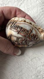 WW1 Trench Art Tiger Cowrie Carved Shell