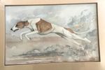 Original Watercolor of a Whippet  Running matted 1995 by Martha Van Loan 13 x 21