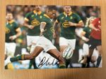 MANIE LIBBOK HAND SIGNED 12x8" PHOTO SOUTH AFRICA RUGBY SPRINGBOKS STORMERS