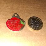RB76"1981  WESTERN SUBURBS NEWCASTLE (MEMBER)ENAMEL BADGE AUSTRALIA RUGBY LEAGUE
