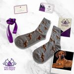 RHODESIAN RIDGEBACK SOCKS UNISEX ONE SIZE FIT UK ADULT 5-11 EU 38-46 US 7.5-12