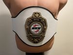 British Open WKU Kick Boxing/ Karate 2016 Champion Belt
