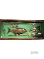 Framed fish montage in case