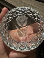 Waterford Tulip Paperweight Round Dome Glass Etched 9”Wide Excellent Signed