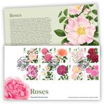 Roses Stamps Souvenir First Day Cover from Royal Mail