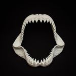 Great White Shark Jaw Replica 30cm Megalodon Shark Teeth Jaws Display Model