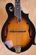 Ozark Professional F‑Style Mandolin 2255F in Sunburst (Used) Gig Bag included