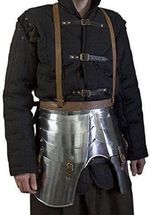 Imperial Faulds and Tassets LARP Medieval Leg Armor Metallic One Size