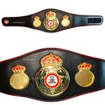 WBA World Boxing Association Title Championship Fighting Replica Adult 3D Belt
