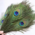 Peacock Tail Feathers 25-30cm Feathers Craft Hat Decorations Hat Sweing 10"-12"