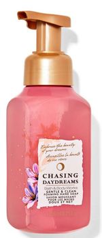Bath & Body Works Chasing Daydreams Foaming Hand Soap 8.75 fl oz