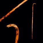 Antique Horse Walking Cane Stick 20th Century