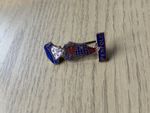 Willingdon Golf Club pin badge