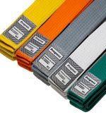 Kids Progress BJJ Belts 24/25