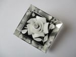 Lucite brooch - reverse carved white rose - vintage