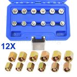 12x Injection Injector Rail Blanking Plugs - CRD Common Rail Diesel