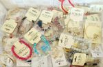 Fashion Jewelry Lot D'Bello Bundle Of 10 Random Pieces bracelets, earrings 