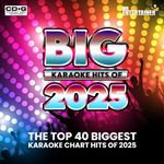 2025 Karaoke Chart Hits Mr Entertainer Big Hits Double CDG Disc Set. Pop Top 40