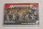 Warhammer Age of Sigmar Maggotkin of Nurgle Rotswords - New and Sealed