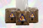 750G - 4Kg + Sterile Organic Rye Grain Spawn - Mushroom Growing Kit Inject Port
