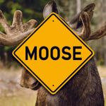 Vermont Moose Sign - Unique Highway Style Replica - Fun - Country & Cabin Decor