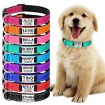 Reflective Personalised Dog Collar for Dogs Engraved Name Tag Small Medium Large