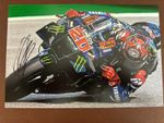FABIO QUARTARARO HAND SIGNED 12X8 2024 MONSTER YAMAHA MOTOGP 2021 WORLD CHAMPION