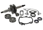 Bottom End Repair Kit Fits STIHL TS410 Crankshaft, Bearings, Gaskets - Pre 2013