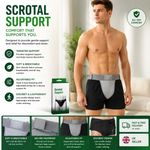 Greenlight Scrotal Support Testicular Support Adjustable Hydrocele Support
