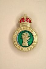 WW2 WOMENS LAND ARMY VETERANS MILITARY ARMED FORCES CAP LAPEL ENAMELLED BADGE