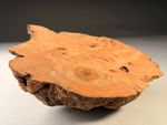 AMAZING Cap Burr Elm Live Edge Resin Woodturning Bowl Blanks 10x9x3 inch 1 KG