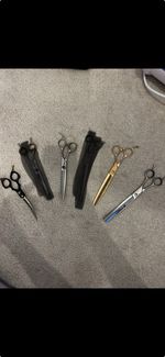 Grooming Scissors Set