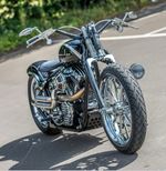 Harley-Davidson Custom Cruiser Softail