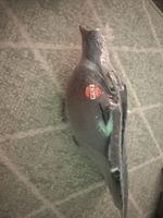 Flapping Flying Pigeon Sporting Hunting Decoy Simulation Pigeon