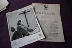 THE CREATURES - BOOMERANG (SIOUXSIE) - PROMO PRESS PHOTO AND PRESS RELEASE (SH)