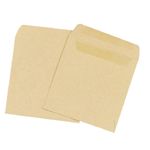 Small Brown Plain Envelopes - Self Seal - Money Wage Pay Seeds
