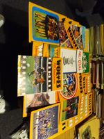 Complete Season 28 X Wolverhampton Wanderers 1980/81 Home Football Programmes 