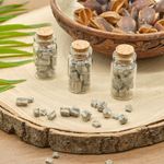 Crinoid Star Fossils In 3 Small Bottles Gift Set Tiny Sea Lillies Home Decor