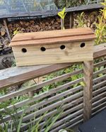 Sparrow Nest Bird Box Wooden Roosting Nesting Terrace Colony House