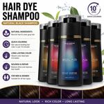 200ml Polar Hair Instant Dye Shampoo Hair Color Shampoo for Hair Natural Color