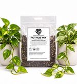 5L Pothos Soil Mix – Fast Draining Potting Mix for Pothos, Devil’s Ivy