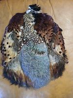 Pheasant Skins with All Feathers for Tying and Crafts Single Pack