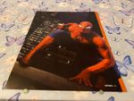 PAD94 MAGAZINE PIN UP PICTURE/POSTER 11X9 SPIDER-MAN
